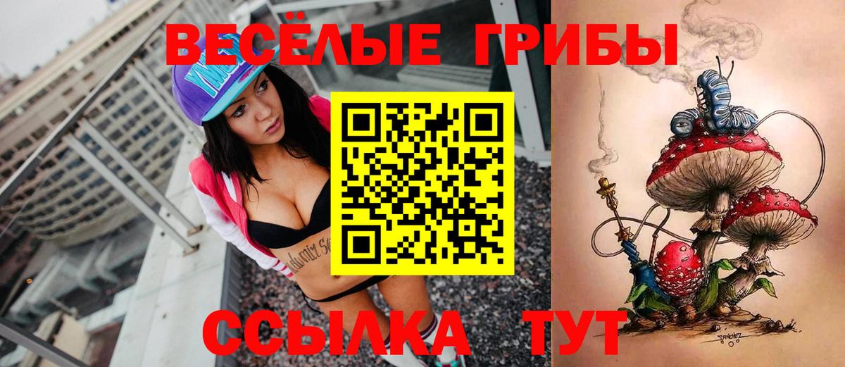 Псилоцибиновые грибы MAGIC MUSHROOMS  Псилоцибиновые грибы MAGIC MUSHROOMS  Ленинск-Кузнецкий  Вход с VPN 